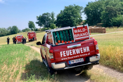 FF_Krems_011-4381