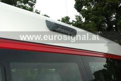 FF_Nasswald_002-1365