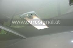 FF_Nasswald_003-1366