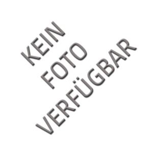 Anhaltestab Eurosignal-LED, Beleuchtung rot / rot mit Beklebung "HALT FINANZPOLIZEI" / "HALT FINANZPOLIZEI"